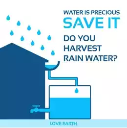 Rain water Harvesting - 4.webp
